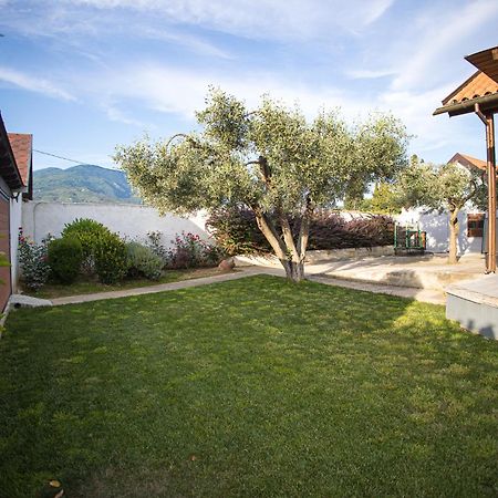 Countryside Luxury Studios Káto Lekhónia Екстериор снимка